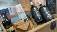 Florence, Truffle Hunting and Vinci with Lunch and Winery - Housity