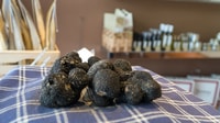 Florence, Truffle Hunting and Vinci with Lunch and Winery - Housity