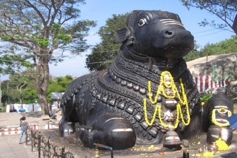 Mysore: Private Full-Day Sightseeing Tour of the City