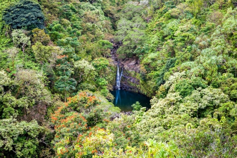 Maui: wycieczka w małej grupie wzdłuż Hana Highway