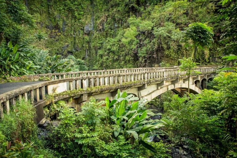 Maui: Road to Hāna - Kleingruppen-Sightseeing-Tour
