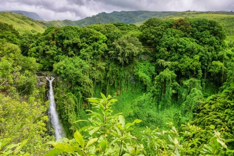 Maui: tour por la autopista a Hāna en grupo reducido