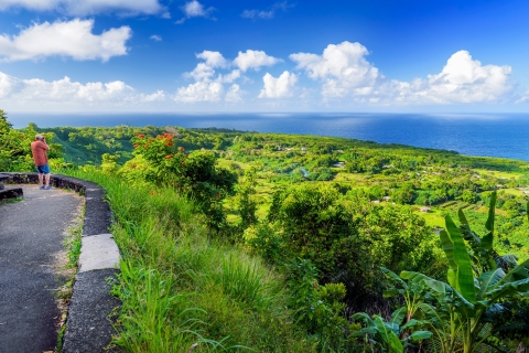 Maui: kleine groeps-tour Road to HānaMaui: kleine groep-tour Road to Hāna