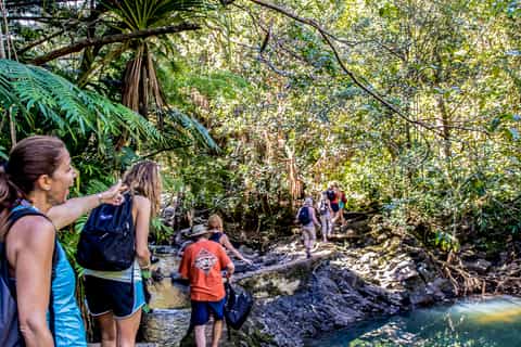 Maui: Waterfall & Rainforest Hiking Tour with Picnic Lunch