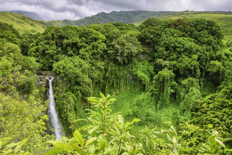 rainforest tours maui hawaii