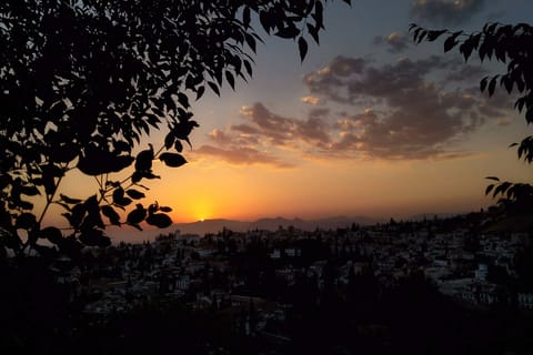 Granada: Hiking Tour Through Alhambra’s Natural Highlights