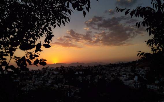 Granada: Wanderung durch die Naturhighlights der Alhambra