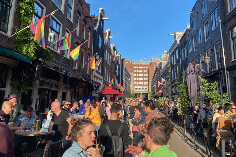 Rainbow Bar Stroll: Sashay genom AmsterdamAmsterdam: 2 timmars guidad pubrunda på en gaybar med guide