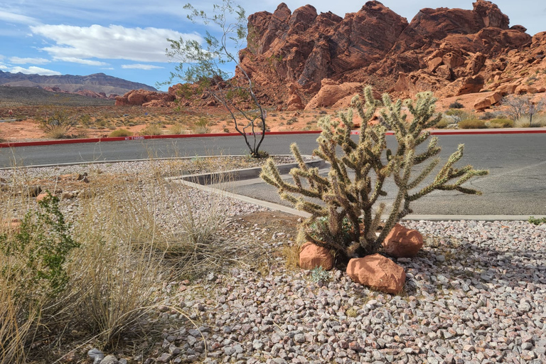 Las Vegas: Mojave, Red Rock Sign and 7 Magic Mountains Tour