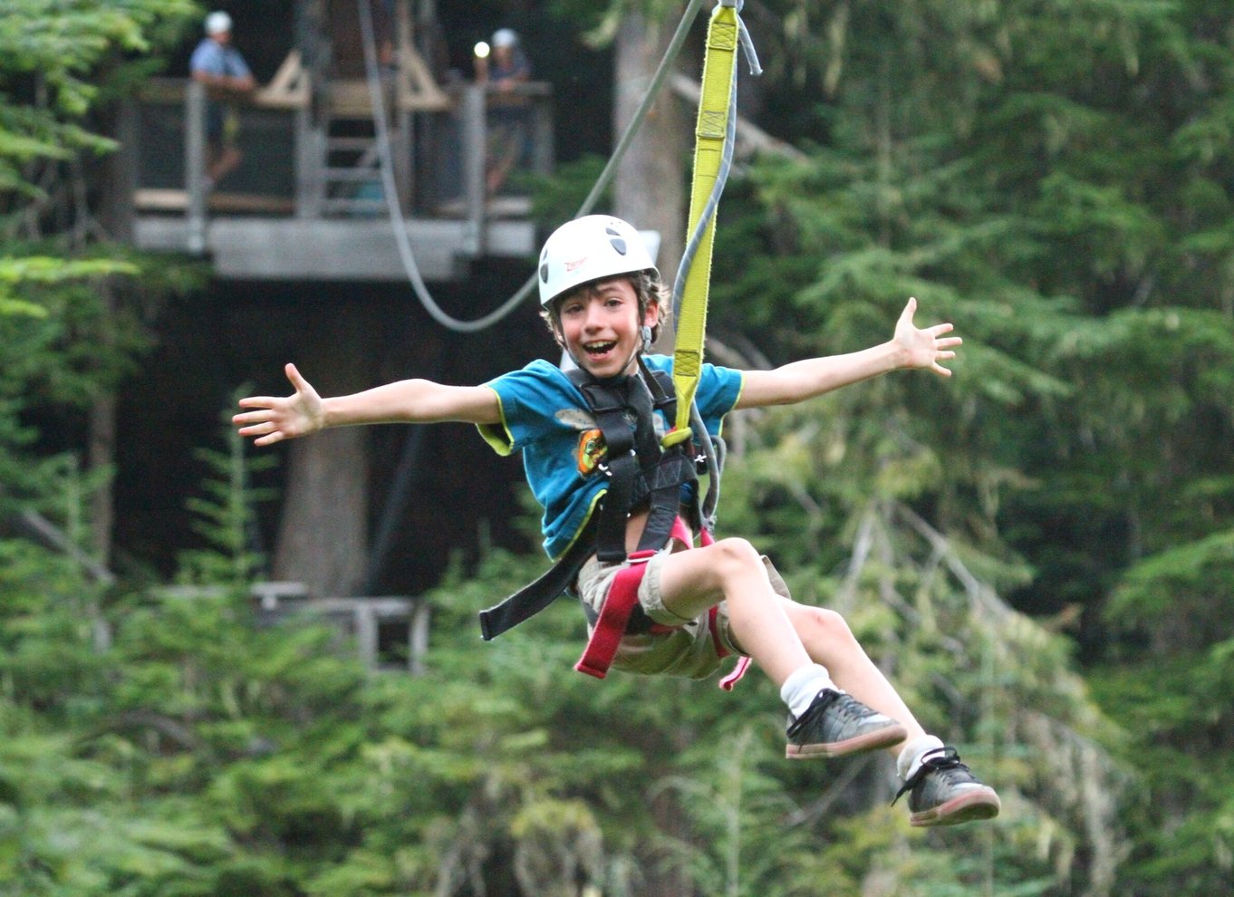 Whistler Zipline-oplevelse: Ziptrek bjørnetur