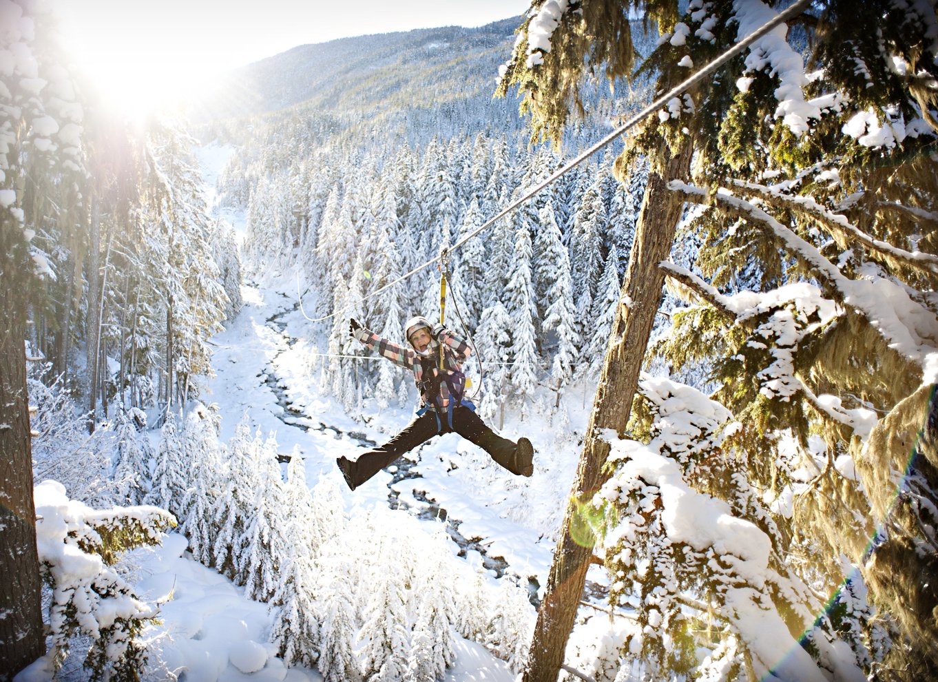Whistler Zipline-oplevelse: Ziptrek bjørnetur