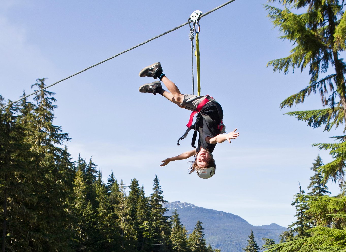 Whistler Zipline-oplevelse: Ziptrek bjørnetur