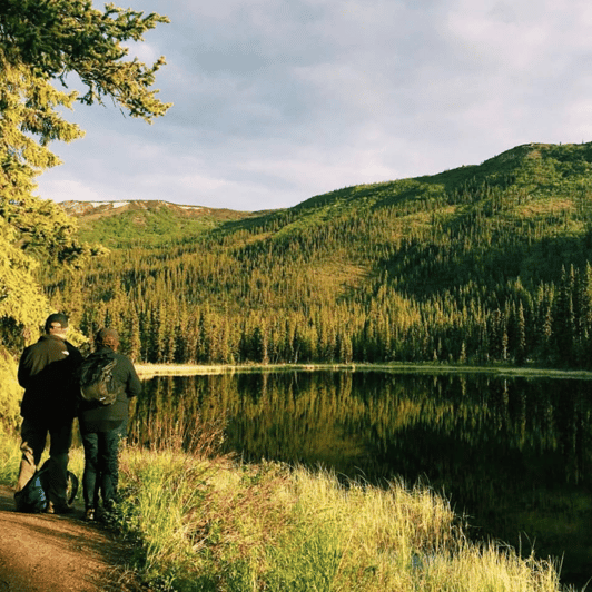 Denali: 5-Hour Guided Wilderness Hiking Tour | GetYourGuide