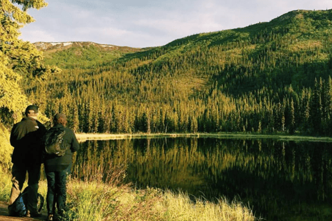 Denali: 5-Hour Guided Wilderness Hiking Tour Denali 4-Hour Hiking Tour