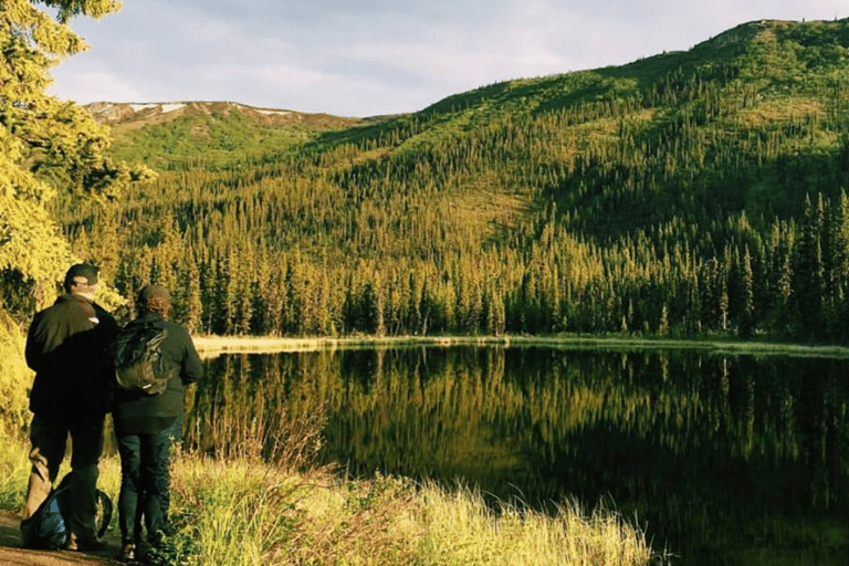 Denali: 5-Hour Guided Wilderness Hiking Tour Denali 4-Hour Hiking Tour