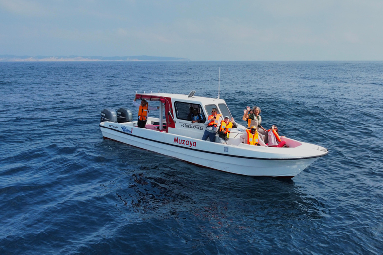 Whale Watching Maputo