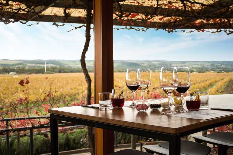 From Adelaide: Boutique McLaren Vale Wine Tour with Lunch