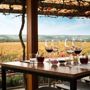 McLaren Vale Wine Tour, Max 6 guests, Boutique Wines w Lunch