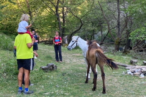 Berat: viaje guiado al monte Tomorr y la cascada de Bogove