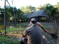 Iquitos, 2 Tage und 1 Nacht geführte Amazon Jungle Tour - Hizvo