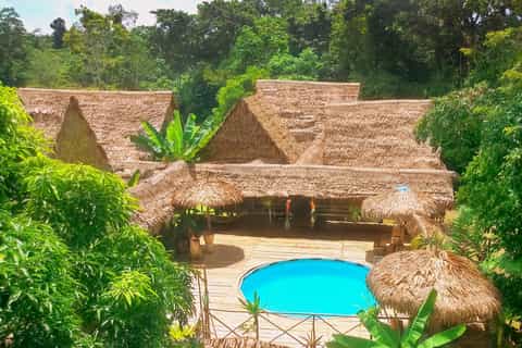 Iquitos: 2 Days and 1 Night Guided Amazon Jungle Tour