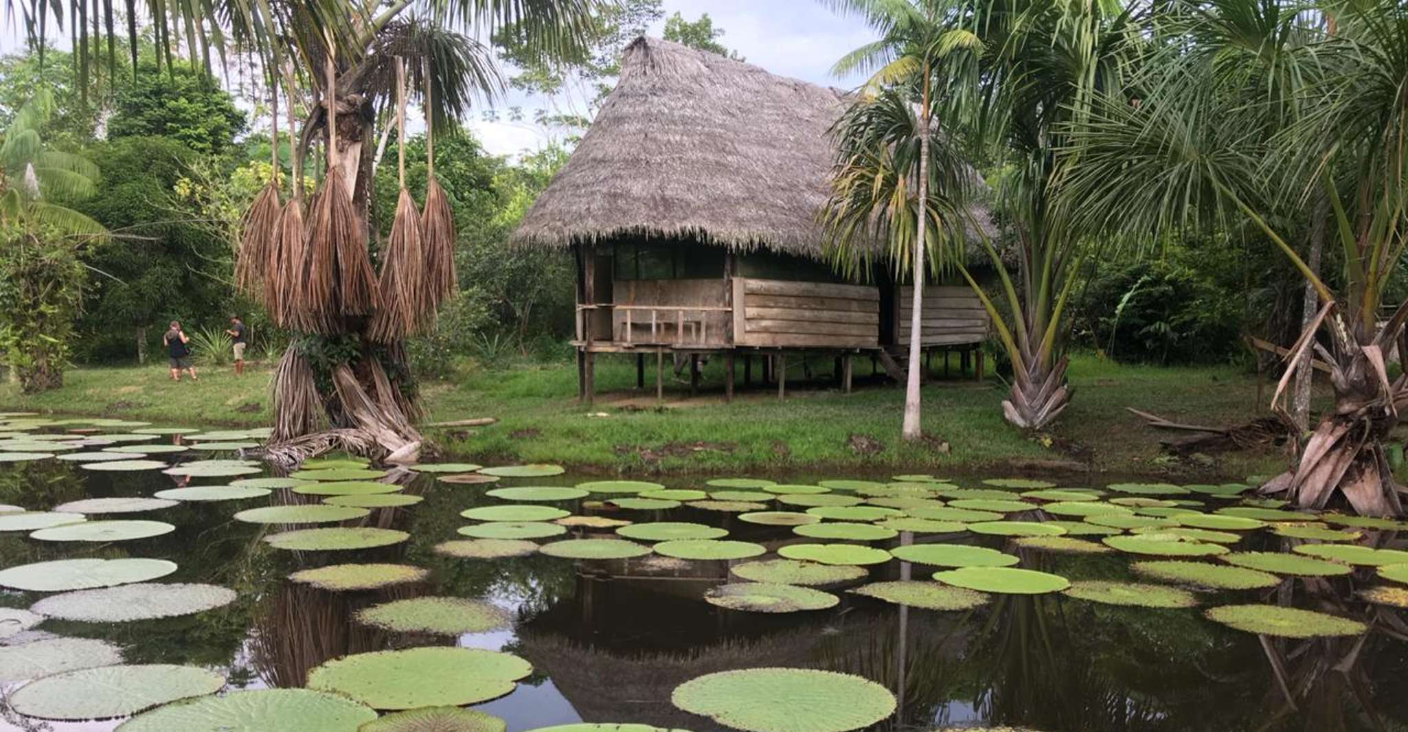Iquitos, 3 Dias e 2 Noites Guiada Amazon Jungle Tour - Hizvo