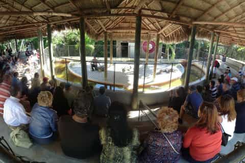 Everglades National Park: Everglades Safari Airboat Tour