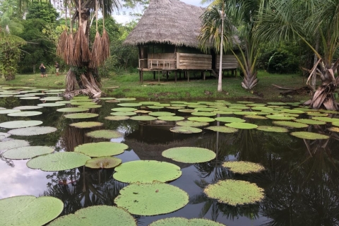 Iquitos: 4-daagse Amazon Jungle-tripAccommodatie ophalen