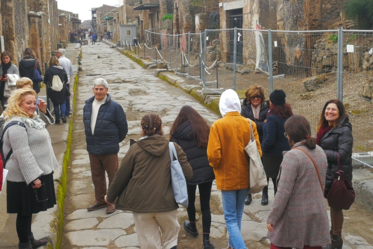 Van Napels of Salerno: dagtour Napels en Pompeii