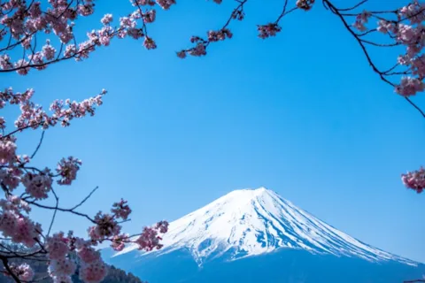 From Tokyo: Mount Fuji Full Customize Tour With English Driv