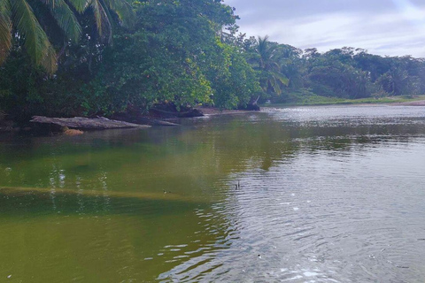 Private Kayaking Adventure: a 2-hour Wildlife Escape Self-Guided Kayaking Adventure: a 2-hour Wildlife Escape