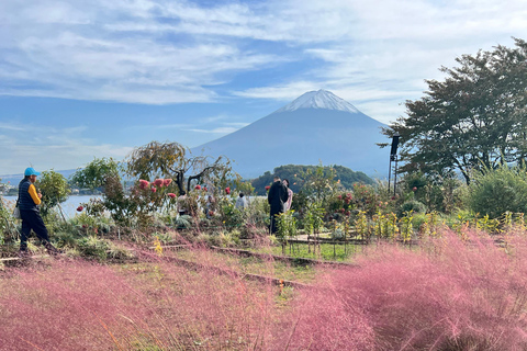 Från Tokyo / Yokohama: Privat dagsutflykt till Fuji-berget och Hakone