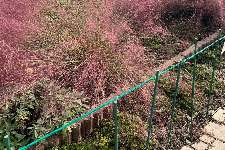 Från Tokyo / Yokohama: Privat dagsutflykt till Fuji-berget och Hakone