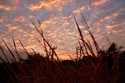 Bali: Mount Batur Entry Ticket on a Guided Hike or Jeep RideEntry Ticket and Guided Hike to the Summit