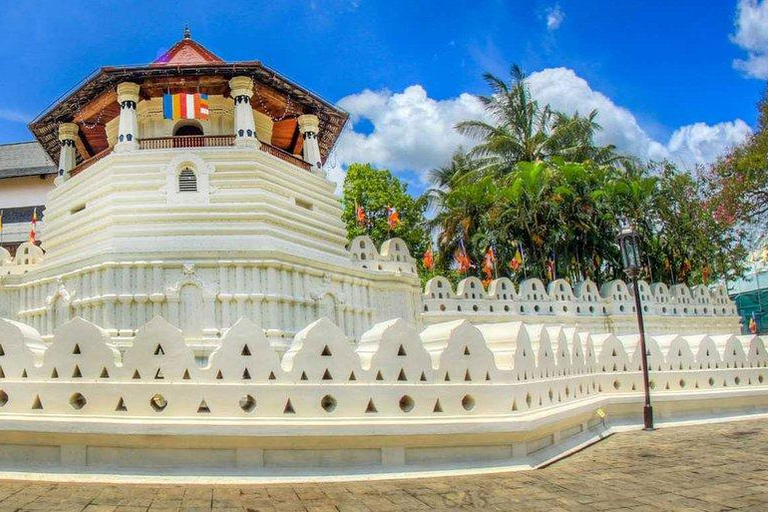 Sri Lanka Excursión de 4 días a Kandy y Nuwara Eliya por el té y las colinas