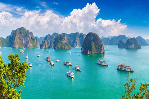 Unique 2 - Day Halong Ninh Binh Farming Tour2-Day Ha Long Ninh Binh Farming Tour