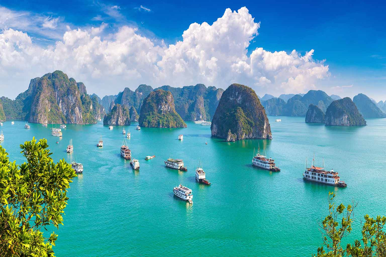 Hanoi: 2-Day Ha Long and Vietnamese Farming Tour