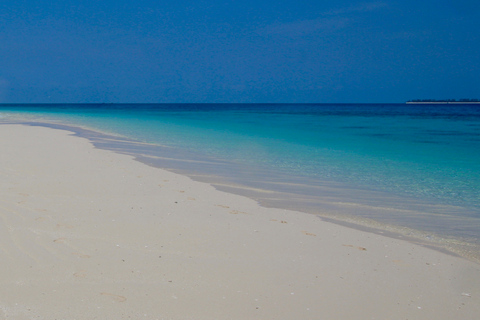 Zanzibar heldagskryssning på sandbanken och önPrivat kryssning under en hel dag