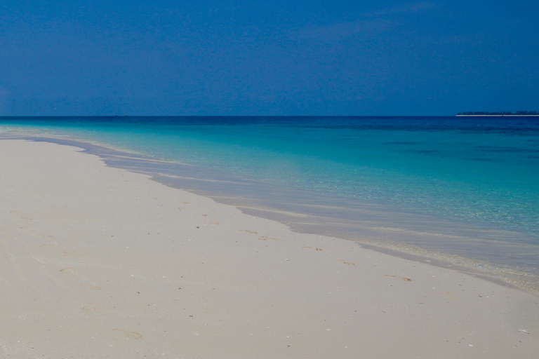 Croisière d'une journée à Zanzibar sur le banc de sable et l'îleCroisière privée d'une journée