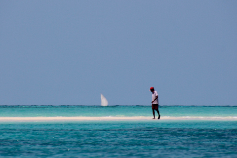 Zanzibar heldagskryssning på sandbanken och önPrivat kryssning under en hel dag