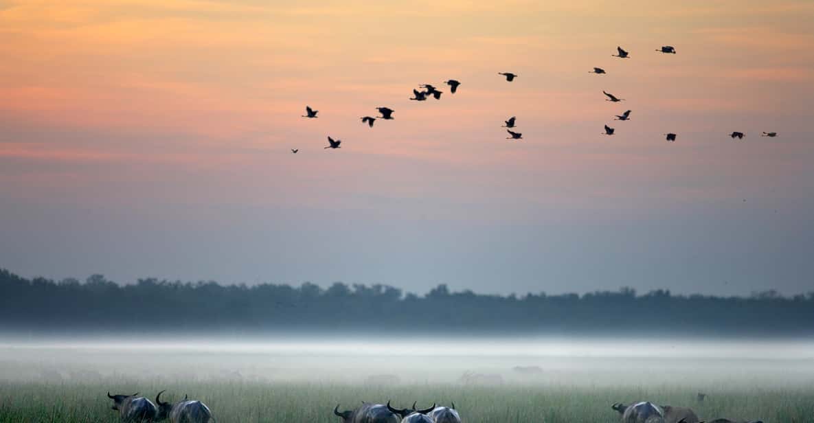 From Darwin: Kakadu Wilderness Escape Day Tour