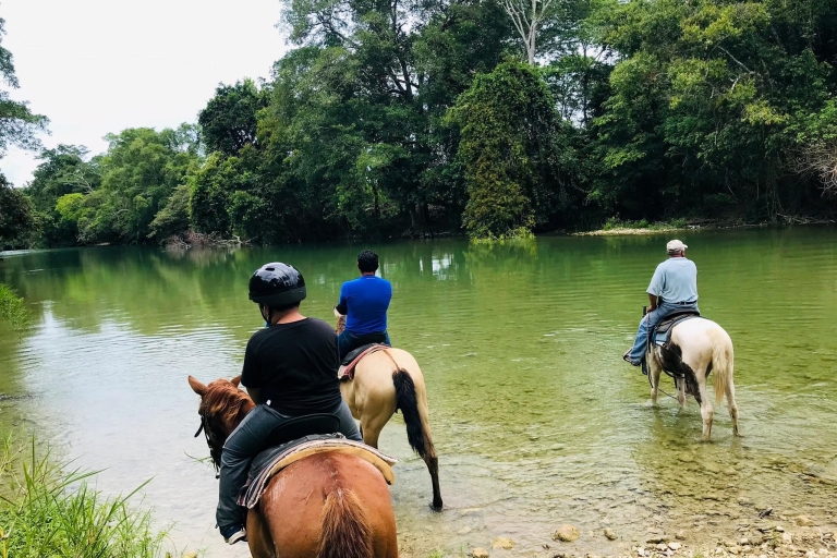 Van San Ignacio: Xunantunich Mayan Tour & optionele combo'sXunantunich met tour van een halve dag paardrijden