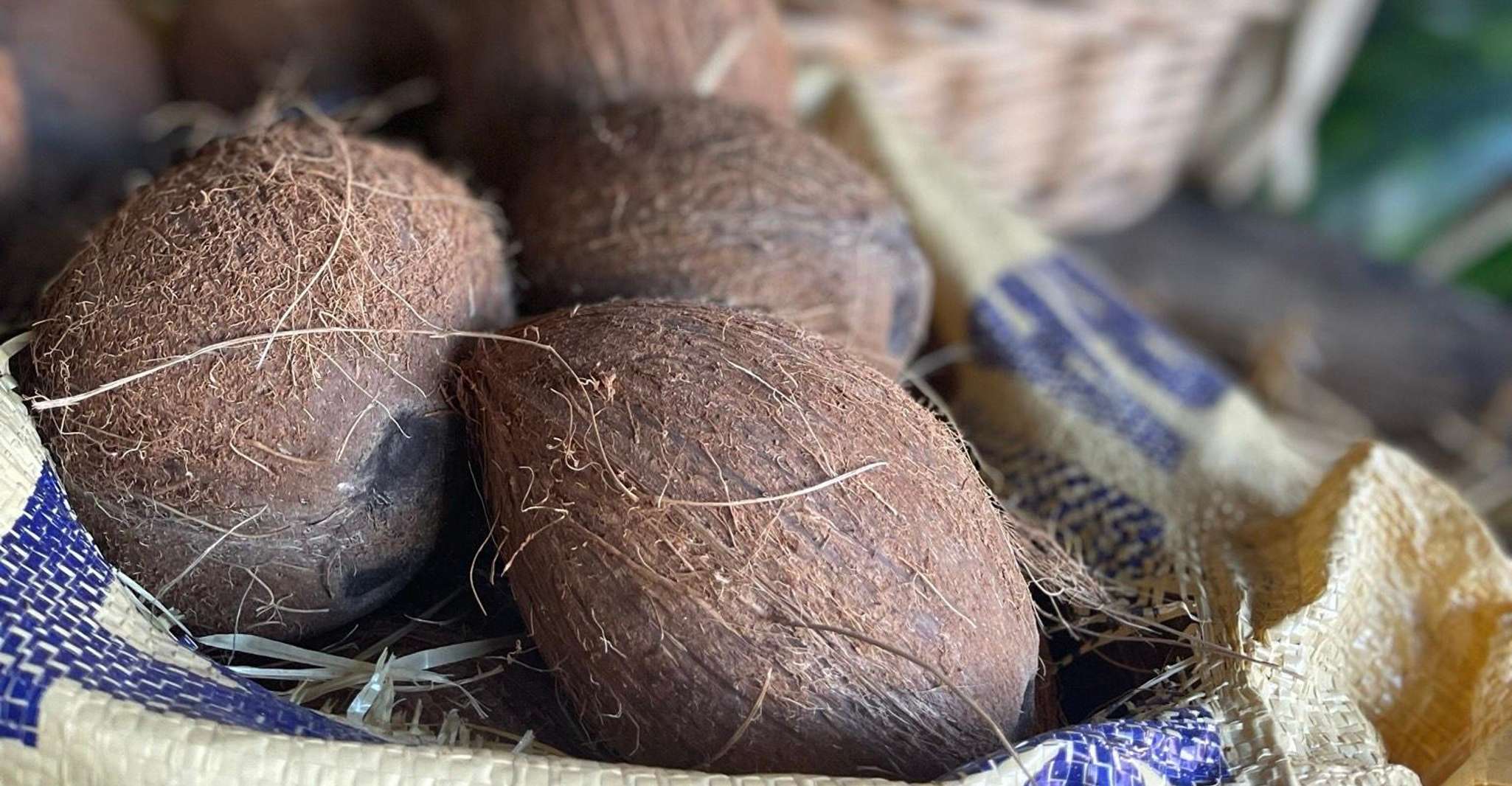 Little Havana, Cigar & Rum Tasting Experience - Housity