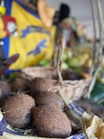 Little Havana, Experiencia de degustación de cigarros y ron - Housity