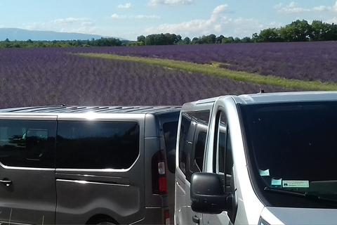 Desde Niza o Cannes: desfiladero de Verdon y campos de lavanda