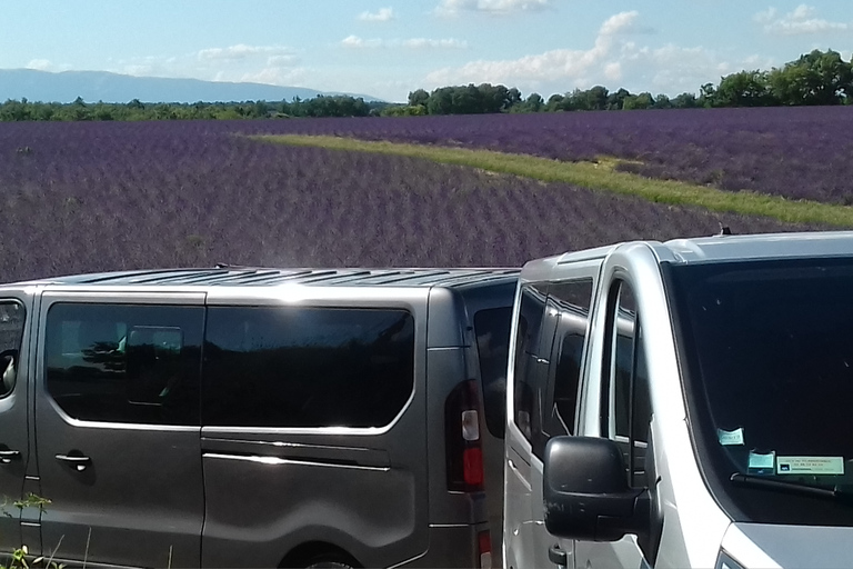 Desde Niza o Cannes: desfiladero de Verdon y campos de lavanda