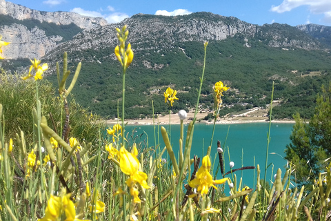 Desde Niza o Cannes: desfiladero de Verdon y campos de lavanda