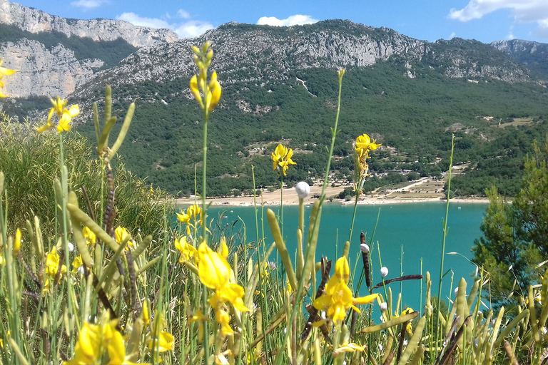 Verdon Gorge: Europas stora kanjon, sjö och lavendel