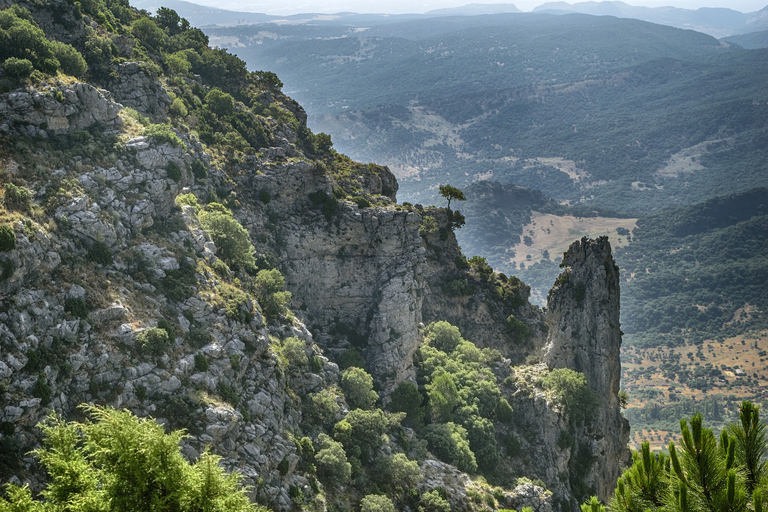 Cádiz, Jerez o El Puerto: Excursión de un Día a los Pueblos Blancos de AndalucíaDesde Cádiz: Excursión de un Día a los Pueblos Blancos de Andalucía