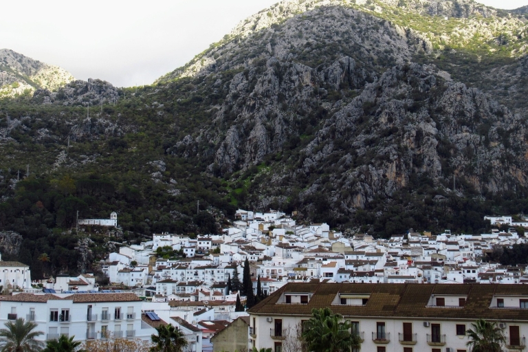 Cadix, Jerez ou El Puerto : Excursion d'une journée dans les villes blanches d'AndalousieAu départ de Cadix : Excursion d'une journée dans les villes blanches d'Andalousie